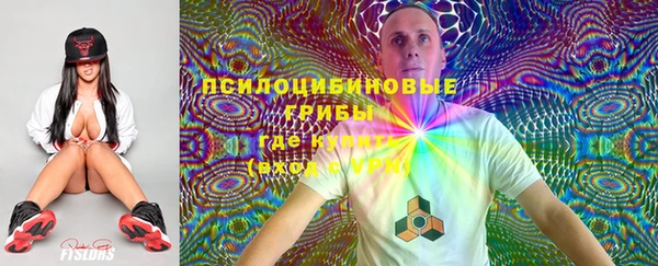 синтетический гашиш Гусиноозёрск