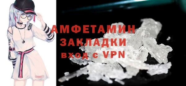 ПСИЛОЦИБИНОВЫЕ ГРИБЫ Гусь-Хрустальный
