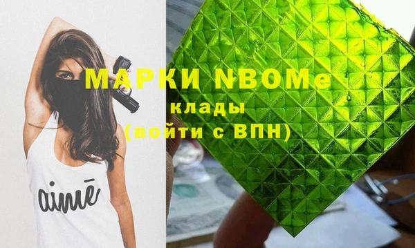 ПСИЛОЦИБИНОВЫЕ ГРИБЫ Гусь-Хрустальный