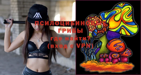 ПСИЛОЦИБИНОВЫЕ ГРИБЫ Гусь-Хрустальный