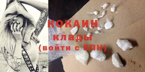 ПСИЛОЦИБИНОВЫЕ ГРИБЫ Гусь-Хрустальный