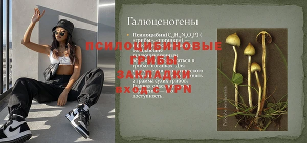 синтетический гашиш Гусиноозёрск