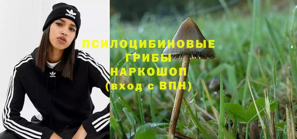 ПСИЛОЦИБИНОВЫЕ ГРИБЫ Гусь-Хрустальный