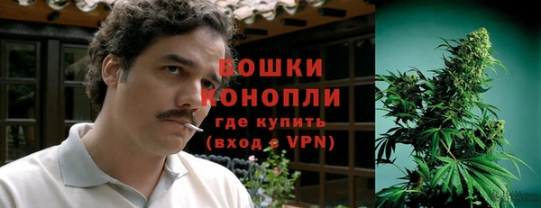 ПСИЛОЦИБИНОВЫЕ ГРИБЫ Гусь-Хрустальный