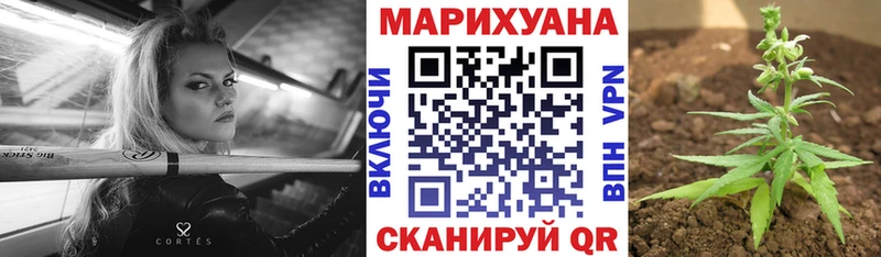 Бошки марихуана MAZAR  Купить где  Наволоки 